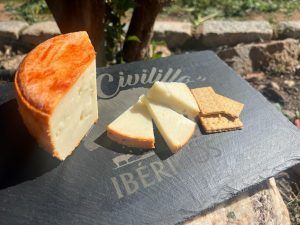QUESO SIN LACTOSA